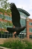 Monument Eagle 12' High