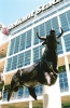 Houston Texas Reliant Stadium: Pride
