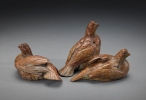 Bobwhite Quail