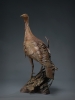 Ghost Bird