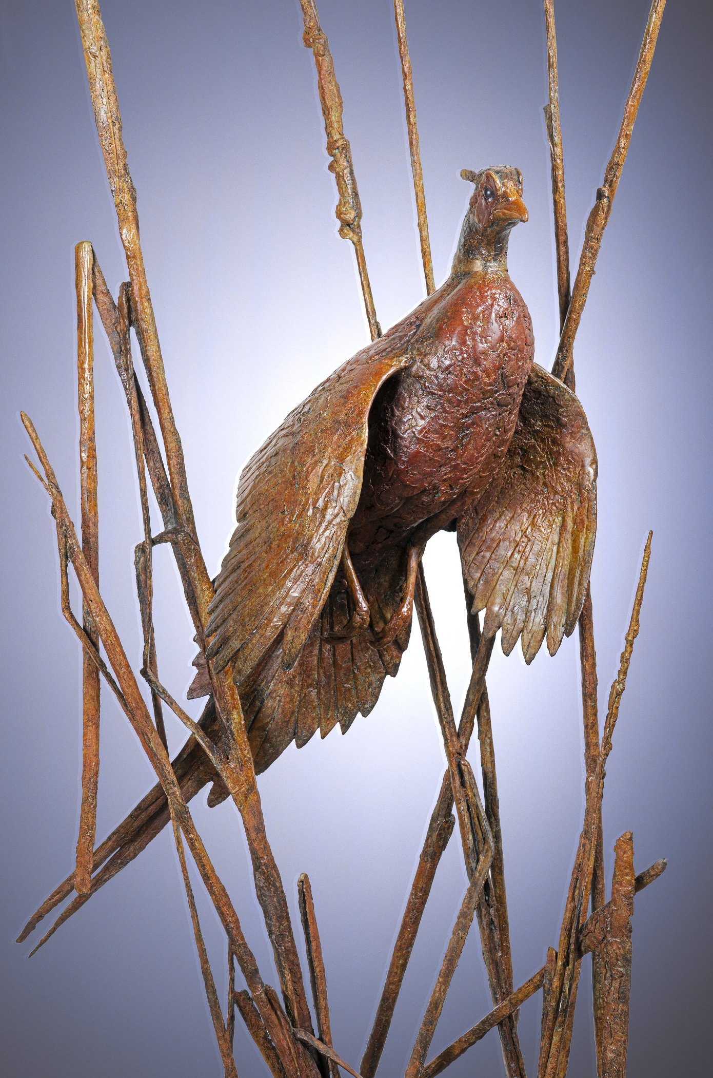 Pheasant Detail