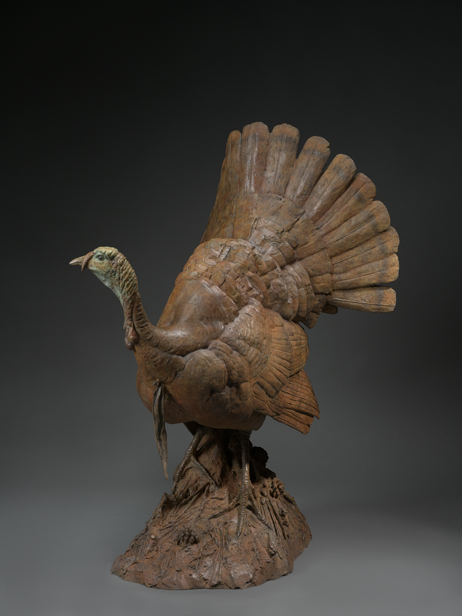 Paranoia Turkey