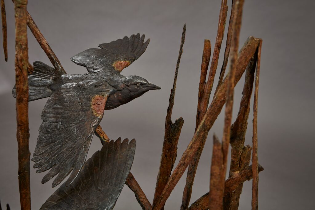 Red-wing Blackbirds (detail)
